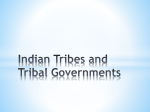 Indian Tribes and Tribal Governments