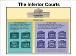 12 courts of appeals