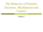 The Behavior of Proteins: Enzymes, Mechanisms