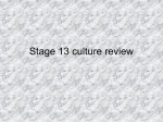 Stage 13 culture review