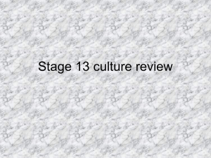 Stage 13 culture review