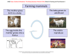 Farming mammals