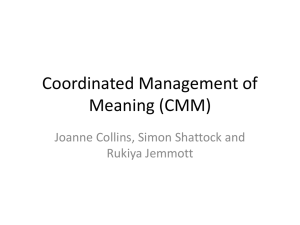 Coordinated Management of Meaning (CMM)