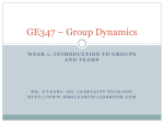 GE347 – Group Dynamics