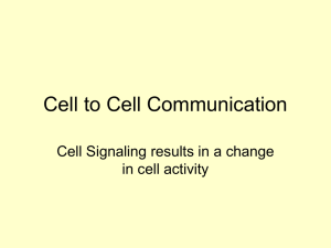 Cell to Cell Communication