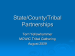 State/County/Tribal Partnerships