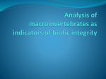 Statistical Analysis of Stream Data