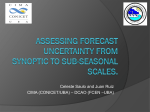 Assessing forecast uncertainty from synoptic to sub
