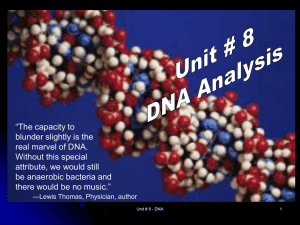 Where Is DNA Found?