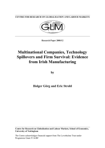 Multinational Companies, Technology Spillovers and Firm Survival: Evidence from Irish Manufacturing by
