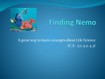 Finding Nemo - Vian Public Schools