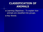 Classification.ppt