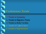 Evolutionary Trends and Some Animal Phyla