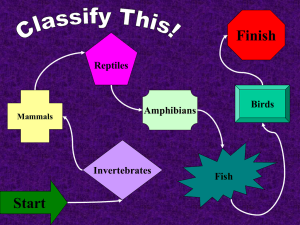 Classify This! - Georgia Sea Grant