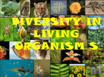 DIVERSITY IN LIVING ORGANISMS