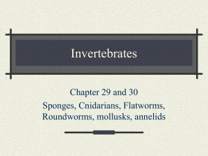 Inverterates - Grafton School District