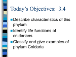 Today’s Objectives: 3.4
