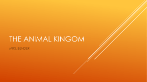 THE ANIMAL KINGOM - Mrs. Bender's Links to Knowledge