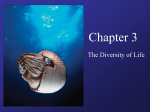 Chapter 3