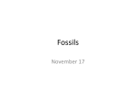 science olympiad fossil nov 17