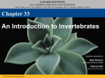 invert. clicker questions