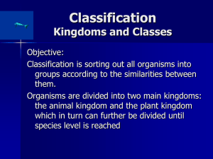 Classification