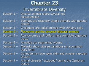 Chapter 4 The Chemical Basis of Life