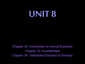 UNIT 8