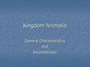 Kingdom Animalia pp