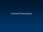 Animal Systematics