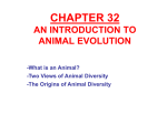 Unit 11 Animal Evolution Chp 32 Introduction to