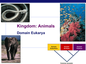 Animals - Biology Junction