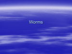 Worms - jpsaos