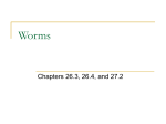 Worms - walker2012