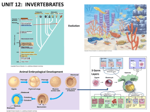 Unit 12 Invertebrate Diagrams and Videos