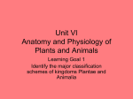 Unit VI Anatomy and Physiology of Plants and Animals