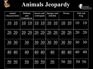 animals bio final jeopardy