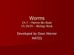 Worms - MATES-Biology-I