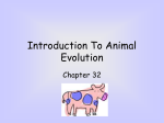 introduction to animal evolution