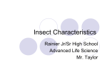 Insect Characteristics