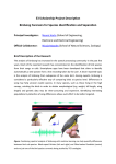 E3 Scholarship Project Description Birdsong Forensics for Species Identification and Separation