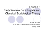 What is Sociological Theory?