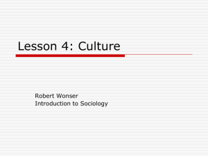 Lesson 4: Culture