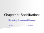 Chapter 4: Socialization: