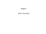 Sociology The Essentials Chapter I