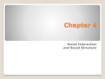 Chapter 5, Society And Social Interaction