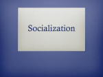 Socialization