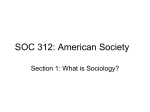 Soc 312\Sociological Map