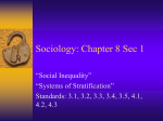 Sociology Chapter 8 Notes