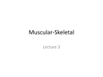 Muscular-Skeletal - Porterville College